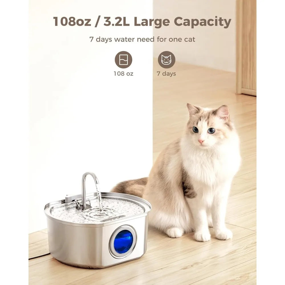 Transform Your Cat's Hydration for Lifelong Health